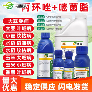 Syngenta yangcai propiconazole azoxystrobin corn spot scab leaf spot rust pesticide fungicide 70ml