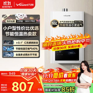 Vanward wh1 pro national subsidy 15% 16-liter gas water heater natural gas water gas dual-adjustable constant temperature household energy-saving gas-saving anti-freeze trade-in