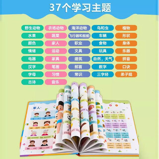 山头林村儿童早教03-6充电中英文电子书识点读学习机宝宝拼音有声读物 37个主题-早教启蒙发声书-充电款