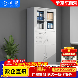 Shanwei steel filing cabinet office cabinet information cabinet equipment cabinet iron cabinet filing cabinet storage cabinet partial three-guarantee filing cabinet