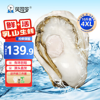 Bassling fresh rushan oysters 4xl net weight 10jin jin is equal to 0.5kg 20-26 pieces straight from the source