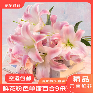 Jingdong flowers yunnan kunming flower base straight hair pink perfume lily 9 family life flowers straight hair source