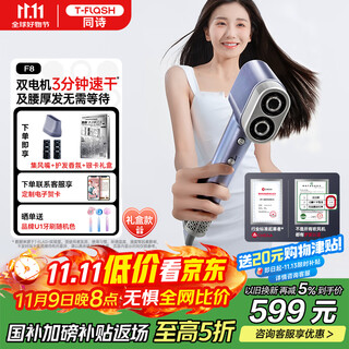 Tongshi high-speed hair dryer double-barrel household plasma hair care quick-drying strong wind does not damage the hair dryer birthday gift for girlfriend and wife practical national subsidies