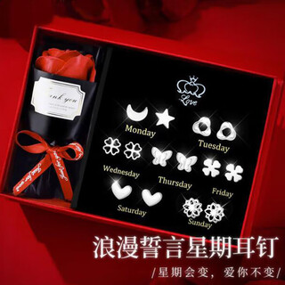 Crystal pure silver one-week earrings for women 2025 new earrings for ear piercings high-end birthday gifts for girls