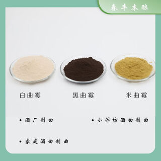 米曲曲霉白曲霉河内白曲苏16制霉麸用曲菌种固态发酵 米曲霉500g