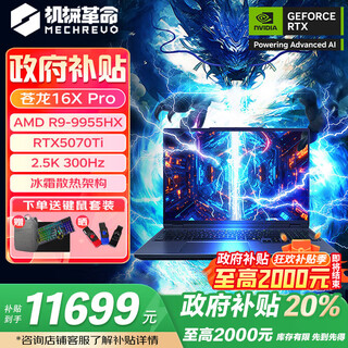 机械革命（MECHREVO）苍龙16Ultra/XPro 2025款满血5080/5090/5070Ti独显锐龙9955HX电竞游戏笔记本电脑 XPro 9955HX 5070Ti 32G+2T 【购