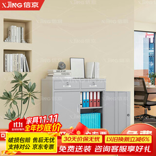 Xinjing file cabinet office iron cabinet low cabinet storage cabinet with lock information cabinet steel tool cabinet two drawer cabinet 0.5