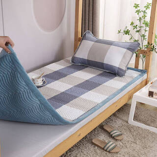 Wing fantasy 2024 new baby velvet pure cotton bed cover for all seasons single milk velvet winter dormitory student plus blue large grid - light blue double-sided available pure cotton + baby velvet bed sheet style single bed cover 90x190cm (recommended for dormitory beds)