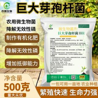 Yiqiangshengwu 500 г/упаковка bacillus megaterium растворяет фосфор и калий, улучшает почву, улучшает органическое вещество, способствует росту корней 500 г/упаковка