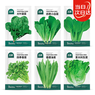 Beishu vegetable seeds and seedlings collection, lettuce, coriander, spinach, spring balcony rapeseed, 6 types of leafy vegetable seeds