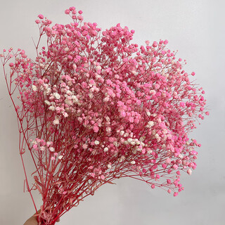 Jatu dace festival dried flowers everlasting gypsophila real flowers home wedding decoration flower arrangement window soft decoration landscaping dream star yunnan straight everlasting gypsophila light pink about 120g