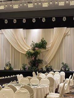 Fantasy champagne milk silk wedding stretch cloth korean cream style ceiling cloth wedding dress curtain engagement backdrop 77cm*1m