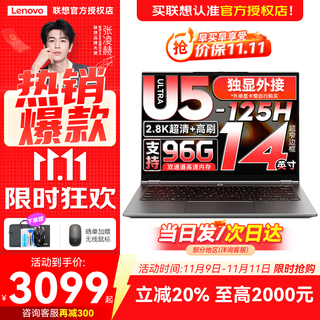 来酷联想Pro14 2025等补贴可选 高性能超轻薄笔记本电脑  手提商务办公学生本 轻小新品 标压 酷睿Ultra5 24G 1T 定制丨Pro14 14英寸 高分辨率 高色域