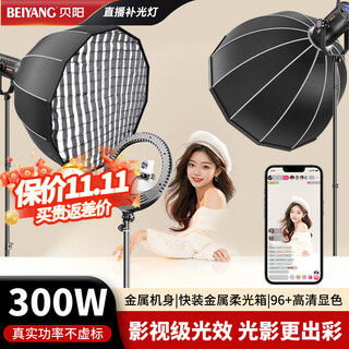 Beiyang sl300iii live fill light photography live light camera lighting professional live beauty lamp spherical lampshade jewelry portrait food video film and television soft light deep polishing lamp
