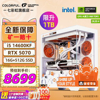 Colorful core i5 14600kf/5060ti 5070ti graphics card orange shadow orange orange cat customized game live broadcast design computer host desktop assembly machine with six 14600kf丨16g丨1tb丨5070