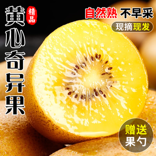 Guangdong ying huangxin kiwi fruit sichuan pujiang golden kiwi fruit puree fresh pregnant women can eat gift gift fruit box sweet and juicy 24 pieces of selected fruit sweet and juicy straight from the origin