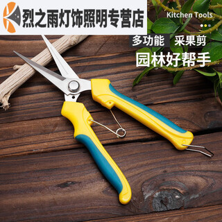 Stainless steel garden pruning shears, grape shears, household multifunctional garden branch shears, fruit picking shears, green handles, straight straight head pruners