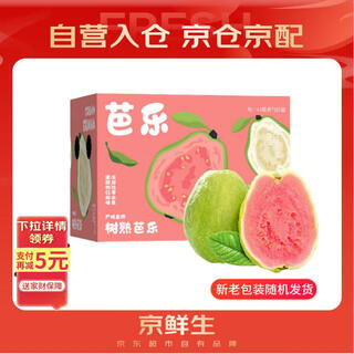 Jingxiansheng red heart pearl guava, net weight 3jin jin is equal to 0.5kg, single fruit 150g+, fresh fruit gift box