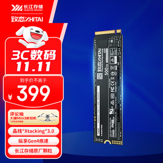 Zhitai yangtze storage 500gb ssd solid state drive nvme m.2 interface ti600 series (pcie 4.0 product)