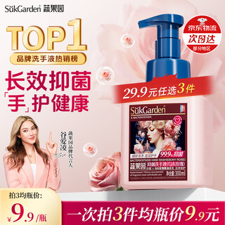 Fruit and vegetable garden ebony rose antibacterial hand sanitizer 300ml foam household mild foam for students, children and babies