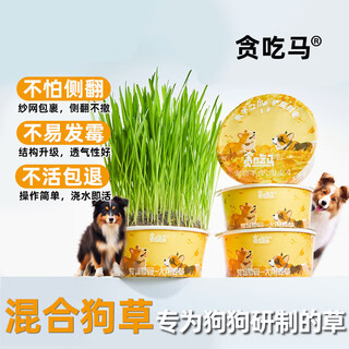 Greedy horse dog straw dog snacks wheat straw dog snacks for lazy people no soil, cleans teeth, fresh breath dog snacks 2 boxes