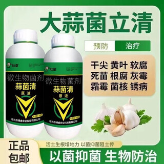 Чистое жидкое микробное удобрение с бактериями чеснока, специальный протравитель семян для посадки лука, имбиря и чеснока, корневое питание и пищевая добавка, 500 г * 1 флакон.