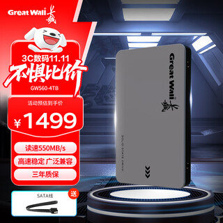 长城（Great Wall) 4TB SSD固态硬盘 SATA3.0接口 读速550MB/S台式机/笔记本通用 GW560系列 