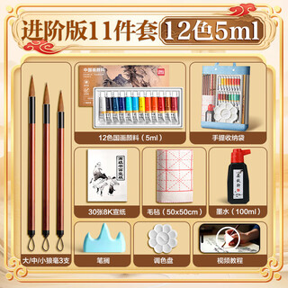 Deli (deli) traditional chinese painting paint beginner's handbag set ink painting tools for entry-level art students, special chinese painting paint for primary school students, brush painting complete set, free nylon mesh portable storage bag, 12 colors, 5ml-11 pieces set