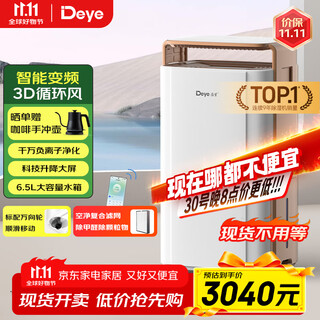 德业（Deye）除湿机/抽湿机 除湿量58升/天 家用地下室别墅干衣变频吸湿器 空气净化除甲醛DYD-V58A3