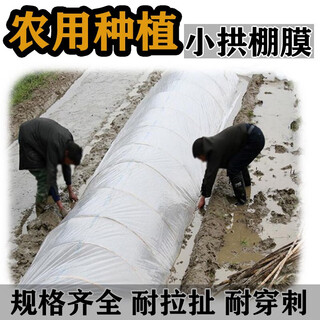 White plastic film, small shed film, plastic, thermal insulation and moisturizing, vegetable greenhouse film, mulch film, waterproof plastic 20jin jin is equal to 0.5kg 2 wires thick 2 meters wide 210 meters long