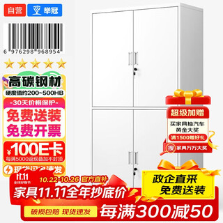 Liuguan file cabinet, iron cabinet, file office information cabinet, steel storage cabinet, double-section file cabinet, equipment cabinet