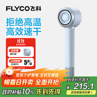 Flyco high-speed hair dryer birthday gift home dormitory portable travel quick-drying negative ion hair care high-power hair dryer fh6371 starry sky gray national subsidy