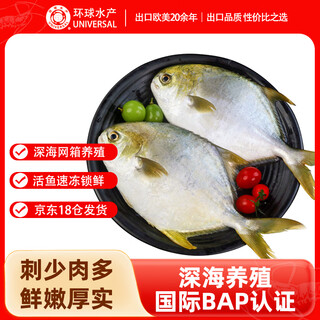 Global aquatic products south china sea golden pomfret 700g 2 bap certified deep sea fish frozen fish and seafood family dinner