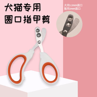 Pengyi cat nail clippers for beginners, special for pets, dogs and cats, pet nail clippers, special scissors for pets to cut nails, double hole cat nail clippers - blue - 1 pc.