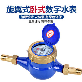 Steel pre-made digital water meter rotor type tap water meter horizontal iron with iron connection dn15 (4 points)