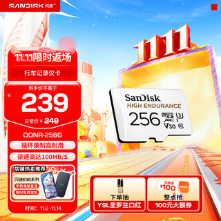 闪迪存储卡内存卡tf小卡行车记录仪micro sd车载监控摄像头 反复擦写 256G-行车记录仪&安防监控专用