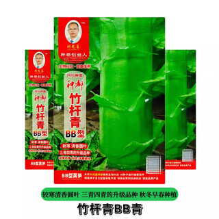Onesaid light-based species are all bb type lettuce seeds, green skin, green flesh, disease-resistant and cold-resistant lettuce seeds, field base sowing, bamboo pole green bb type 10g 1 bag