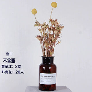 Factory direct supply of natural dried flowers set, creative dry flower bottle set, new home decoration air-dried flowers, set of two does not include bottle