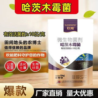 Huaneng trichoderma harzianum agent bacillus subtilis leaf surface water-soluble fertilizer anti-root rot microbial agent anti-death 1kg
