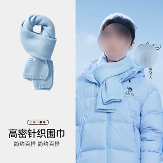 Fat donglai's same style men's scarf winter high-end scarf winter style versatile warm scarf for men sky blue