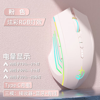 通天剑圣M800三模蓝牙无线鼠标屏显编程充电静音游戏电竞办公平板笔记本台式电脑男女通用 桃夭粉-电显-宏编程-RGB灯效-12000DPI