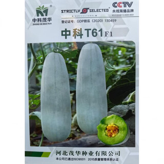 Bomei no. 9 croissant honey melon seeds boyang 9 flower skin green flesh thin skin sweet crispy balcony potted melon seeds 500 capsules original zhongke t61