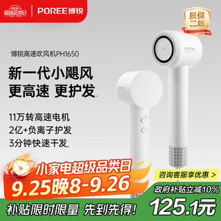 Feike borui high-speed hair dryer negative ion protection hair dryer high power does not hurt hair hair blowing home portable student dormitory birthday gift national supplement ph1650 white
