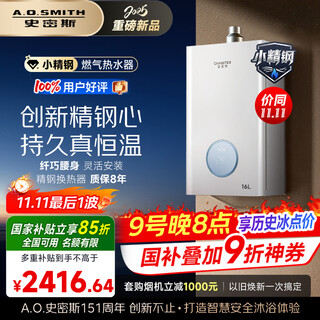 Smith (a.o.smith) garnet small fine steel tca1 16-liter fine steel gas water heater national subsidy jsq31-tca1 long-lasting constant temperature and large water volume new product
