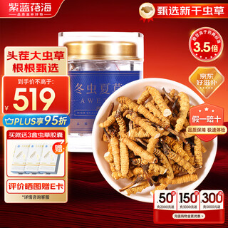 紫蓝花海冬虫夏草 断虫草 精品纯肉节断草 自食高性价比 碎断草10克【自用滋补】