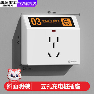 International electrician model 86 electric vehicle shared charging pile battery car outdoor waterproof and rainproof special charging socket surface-mounted five-hole sloping surface-mounted five-hole with light can be pasted with number