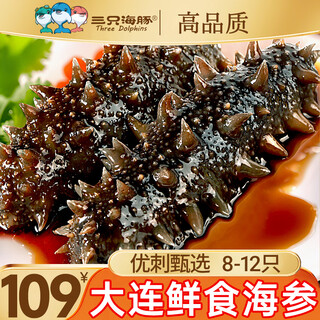 Three dolphins ready-to-eat sea cucumber dalian sea cucumber single package liao apostichopus apostichopus fresh sea cucumber 8-12 pieces 500g