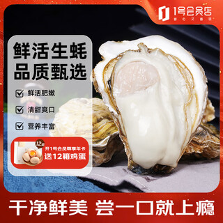 Lighthouse jellyfish fresh rushan oyster no. 6xl net weight 5 jin jin equals 0.5 kg straight from the source