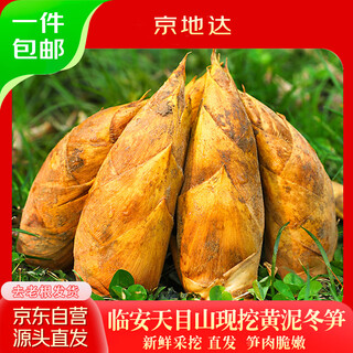 Jingdida's authentic lin'an tianmu mountain freshly dug fresh winter bamboo shoots 3jin jin is equal to 0.5kg, packed with 4-8 taels of single fruit bamboo shoots fresh from the source