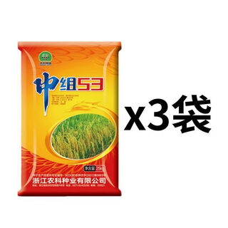 中组53常规早稻超大穗超稳产能留种水稻种子 【常规早稻】【可留种】150斤